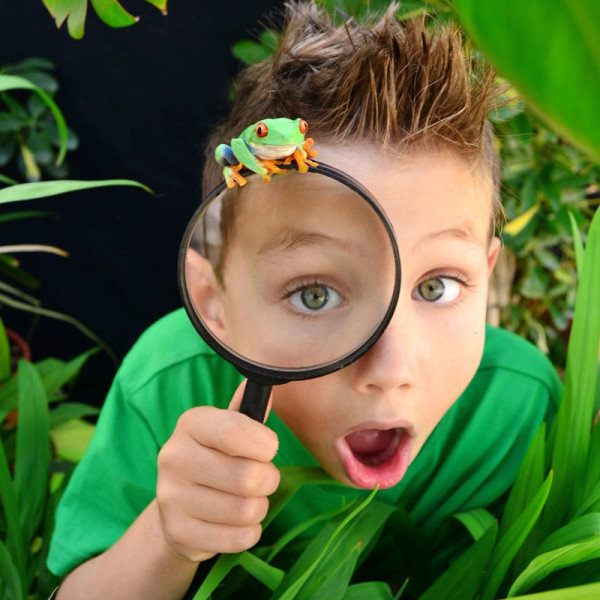 IMAGEN-CAMPAMENTOS-2014